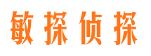 资中市私家侦探